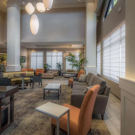 Hilton Garden Inn Reagan National Airport-3